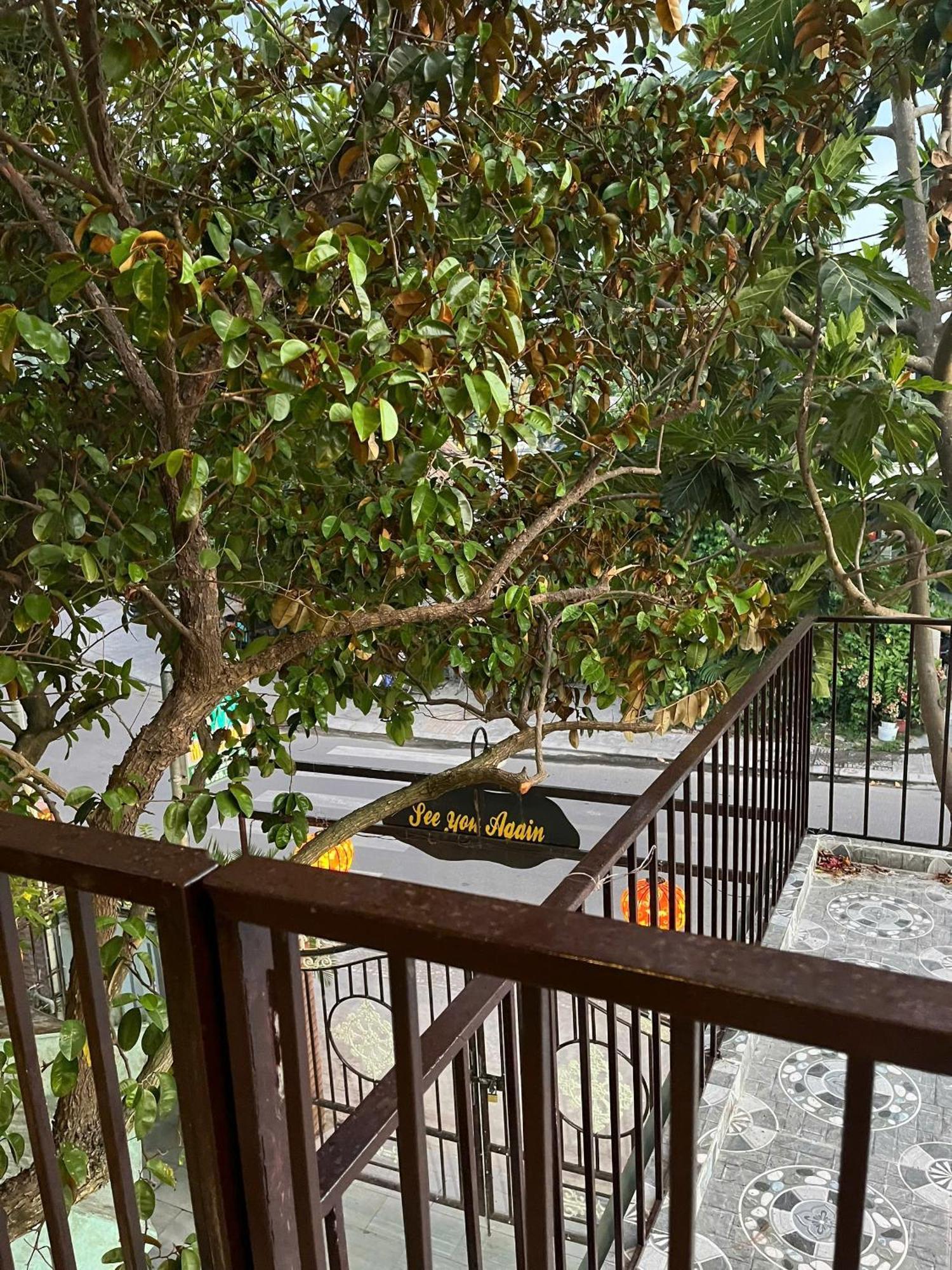 Milk Fruit Homestay - An Bang Beach Hội An Buitenkant foto